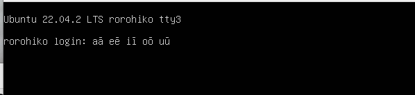 Tohutō on the console. Screenshot: Console login screen showing the tohutō on the vowels.